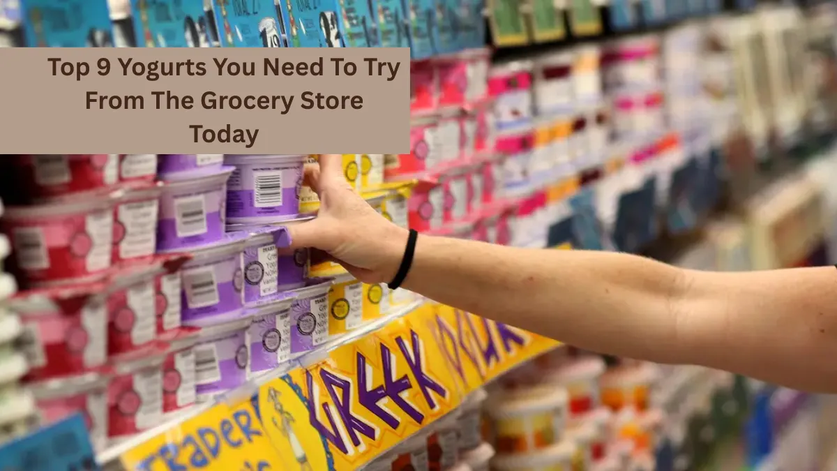 Top 9 Yogurts You Need To Try From The Grocery Store Today