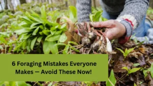 6 Foraging Mistakes Everyone Makes — Avoid These Now!