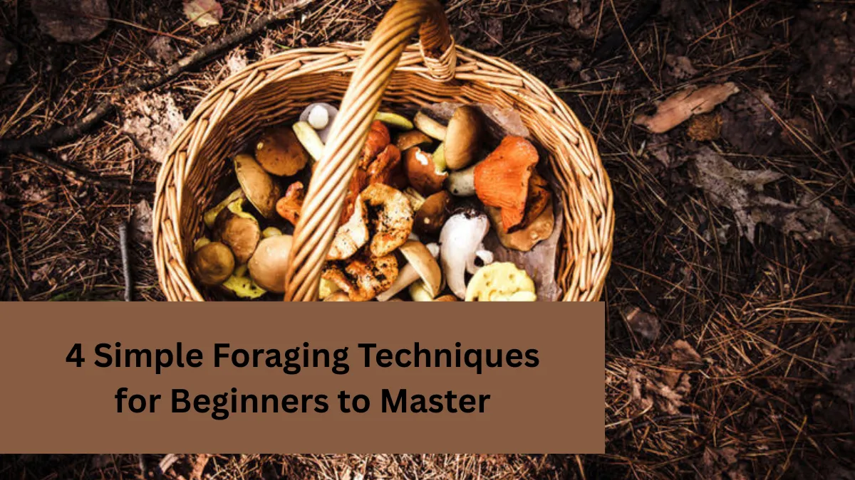4 Simple Foraging Techniques for Beginners to Master