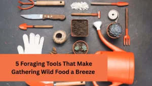 5 Foraging Tools That Make Gathering Wild Food a Breeze